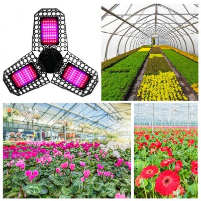 Φωτιστικό 60W LED Ανάπτυξης & Καλλιέργειας Φυτών Full Spectrum Λάμπα Θερμοκηπίου Εσωτερικού Χώρου - Plant Grow Panel Light