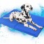 Coolly Στρώμα Ψύξης - Δροσιάς για Σκύλους, Γάτες & Κατοικίδια 90x50cm - Pet Cooling Mat