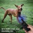 Ηλεκτρονικό Κολάρο Σκύλου με Αδιάβροχο & Επαναφορτιζομενο Δέκτη VB7000