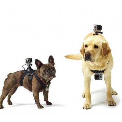 50 σε 1 Puluz® Πλήρες Σετ Βαλιτσάκι Αξεσουάρ για Action Cameras