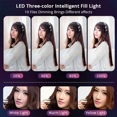 Φωτογραφικό Ring Light LED USB 26cm Φωτιστικό Δαχτυλίδι με 3 Χρώματα Φωτισμού, Dimmer,  Stand & Βάση για Κινητό - Photo Lamp