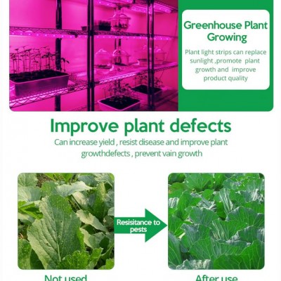 Αυτοκόλλητη Ταινία LED 3m USB Ανάπτυξης & Καλλιέργειας Φυτών Full Spectrum - Φωτιστικό Θερμοκηπίου Εσωτερικού Χώρου - Plant Grow Light Strip