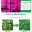 Αυτοκόλλητη Ταινία LED 3m USB Ανάπτυξης & Καλλιέργειας Φυτών Full Spectrum - Φωτιστικό Θερμοκηπίου Εσωτερικού Χώρου - Plant Grow Light Strip