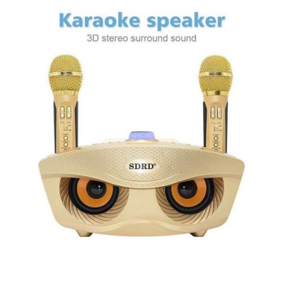 Φορητό Ηχοσύστημα Bluetooth USB/SD Karaoke Με 2 Μικρόφωνα Mp3 Player - Multimedia Speaker Μαύρο SD-306 Χρυσό